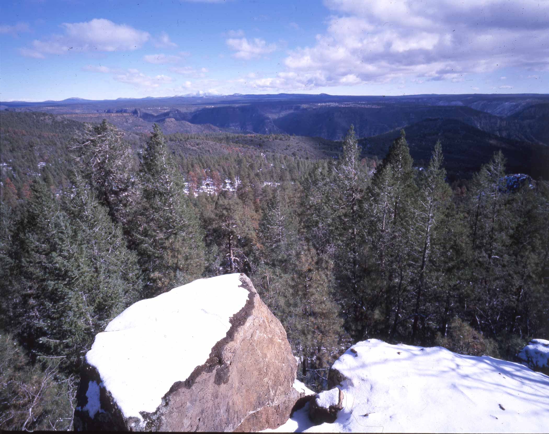 Sycamore Canyon Wilderness and Winter Cabin Trail.